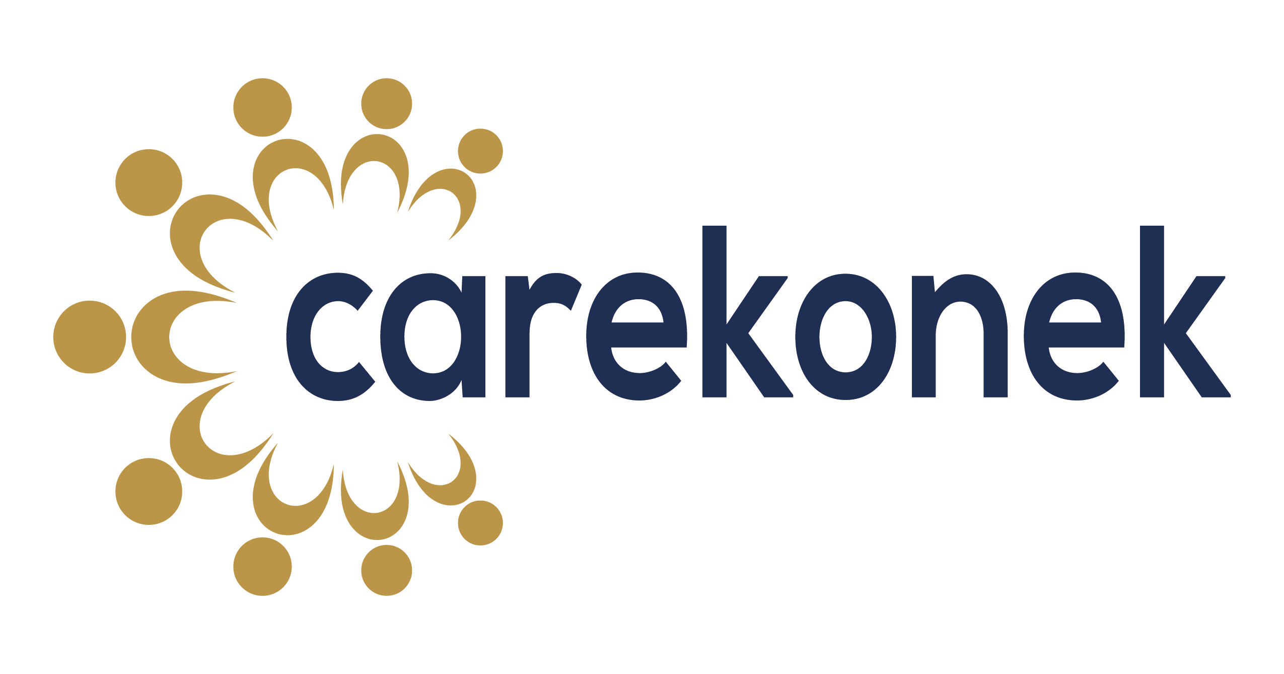 Carekonek Logo